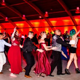 Parties (4)